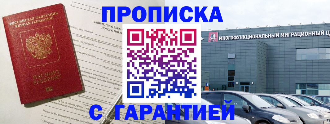 прописка поиск в Щиграх